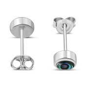 Abalone Shell Sterling Silver Stud Earrings - e407